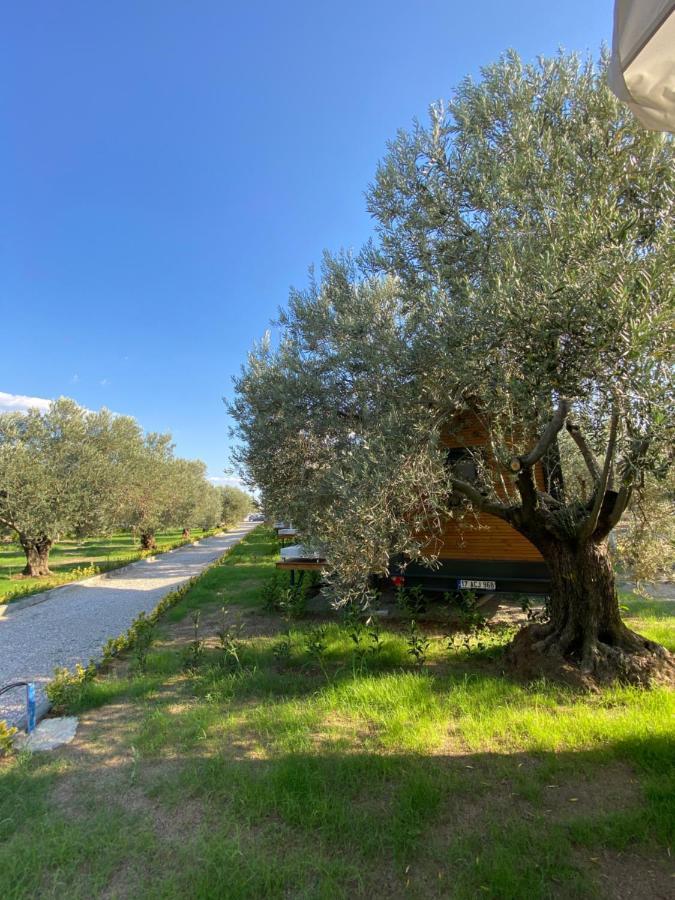 Gulet Tiny House Hotel Ayvacik Bagian luar foto